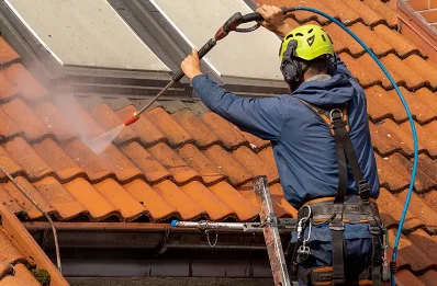Démoussage et hydrofuge de toiture à Lons